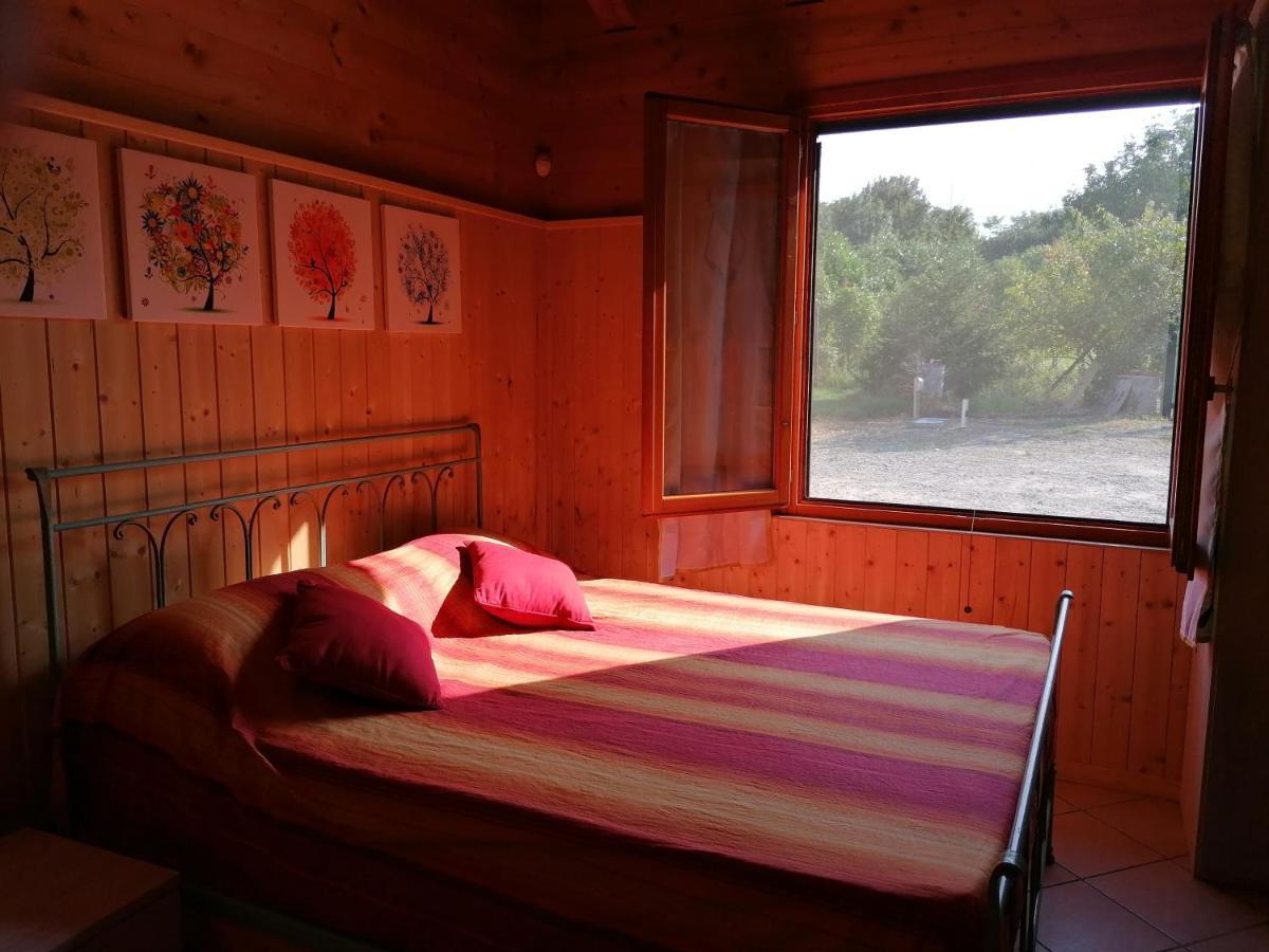 Agriturismo Bio Apipoli Montano Lucino ภายนอก รูปภาพ