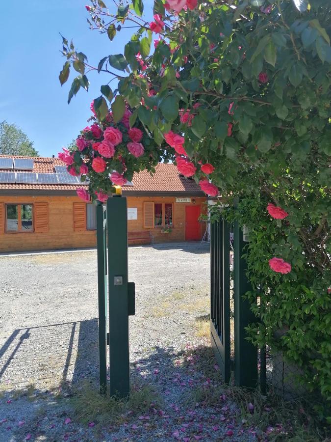 Agriturismo Bio Apipoli Montano Lucino ภายนอก รูปภาพ